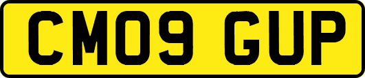 CM09GUP