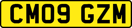 CM09GZM
