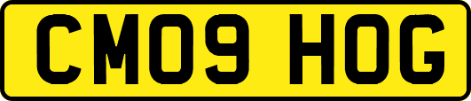 CM09HOG