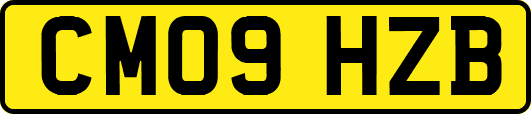 CM09HZB