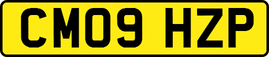 CM09HZP