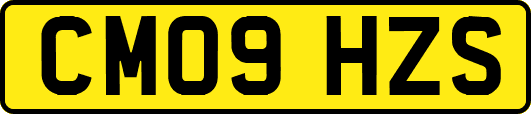 CM09HZS