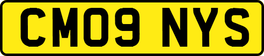 CM09NYS