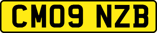 CM09NZB