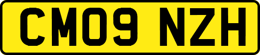 CM09NZH