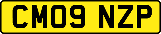 CM09NZP