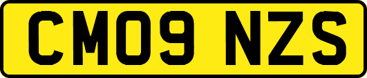 CM09NZS