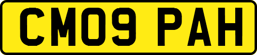 CM09PAH