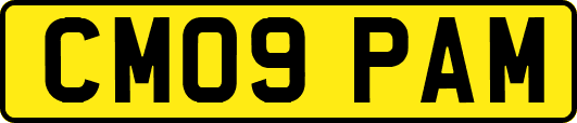 CM09PAM