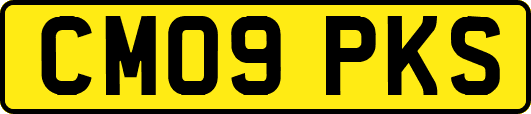 CM09PKS