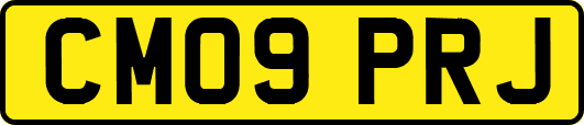 CM09PRJ