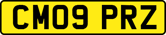 CM09PRZ