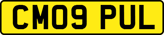 CM09PUL