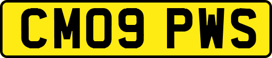 CM09PWS
