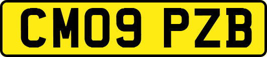 CM09PZB