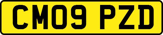CM09PZD