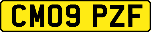 CM09PZF