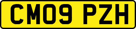 CM09PZH