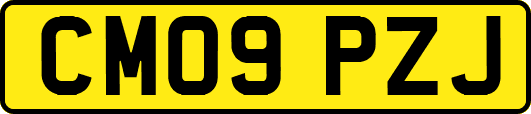 CM09PZJ