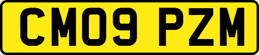 CM09PZM