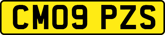 CM09PZS