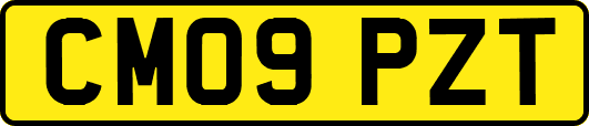 CM09PZT