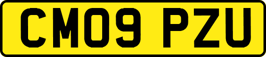 CM09PZU