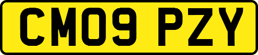 CM09PZY