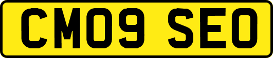CM09SEO