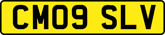 CM09SLV