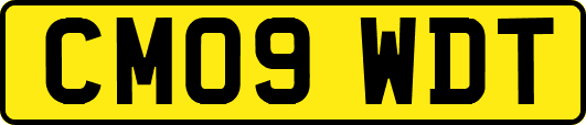 CM09WDT