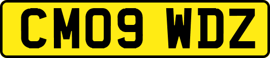 CM09WDZ