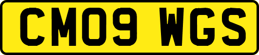 CM09WGS