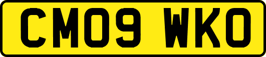 CM09WKO