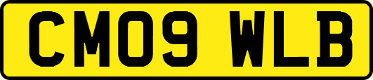 CM09WLB
