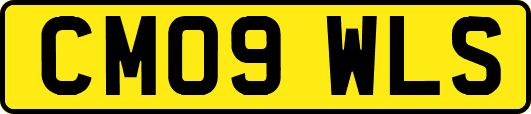 CM09WLS