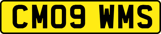 CM09WMS