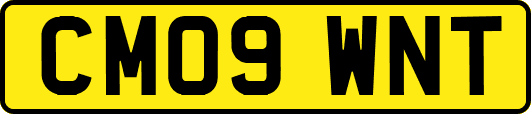 CM09WNT