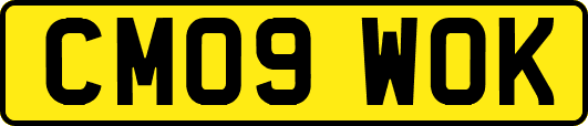 CM09WOK