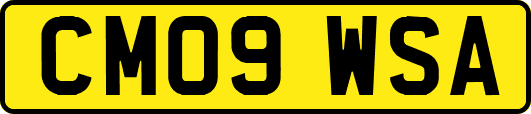 CM09WSA