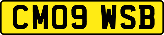 CM09WSB