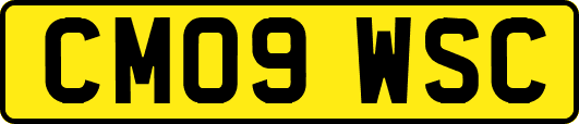 CM09WSC