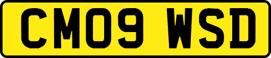 CM09WSD