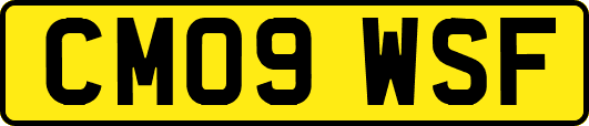 CM09WSF