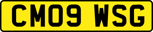 CM09WSG