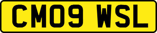 CM09WSL