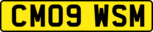 CM09WSM