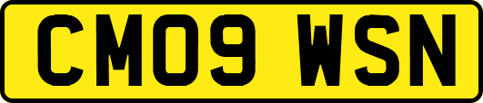 CM09WSN