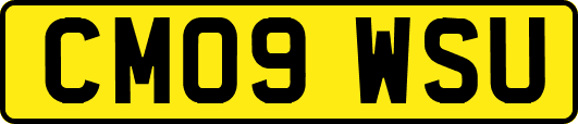 CM09WSU