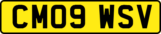 CM09WSV